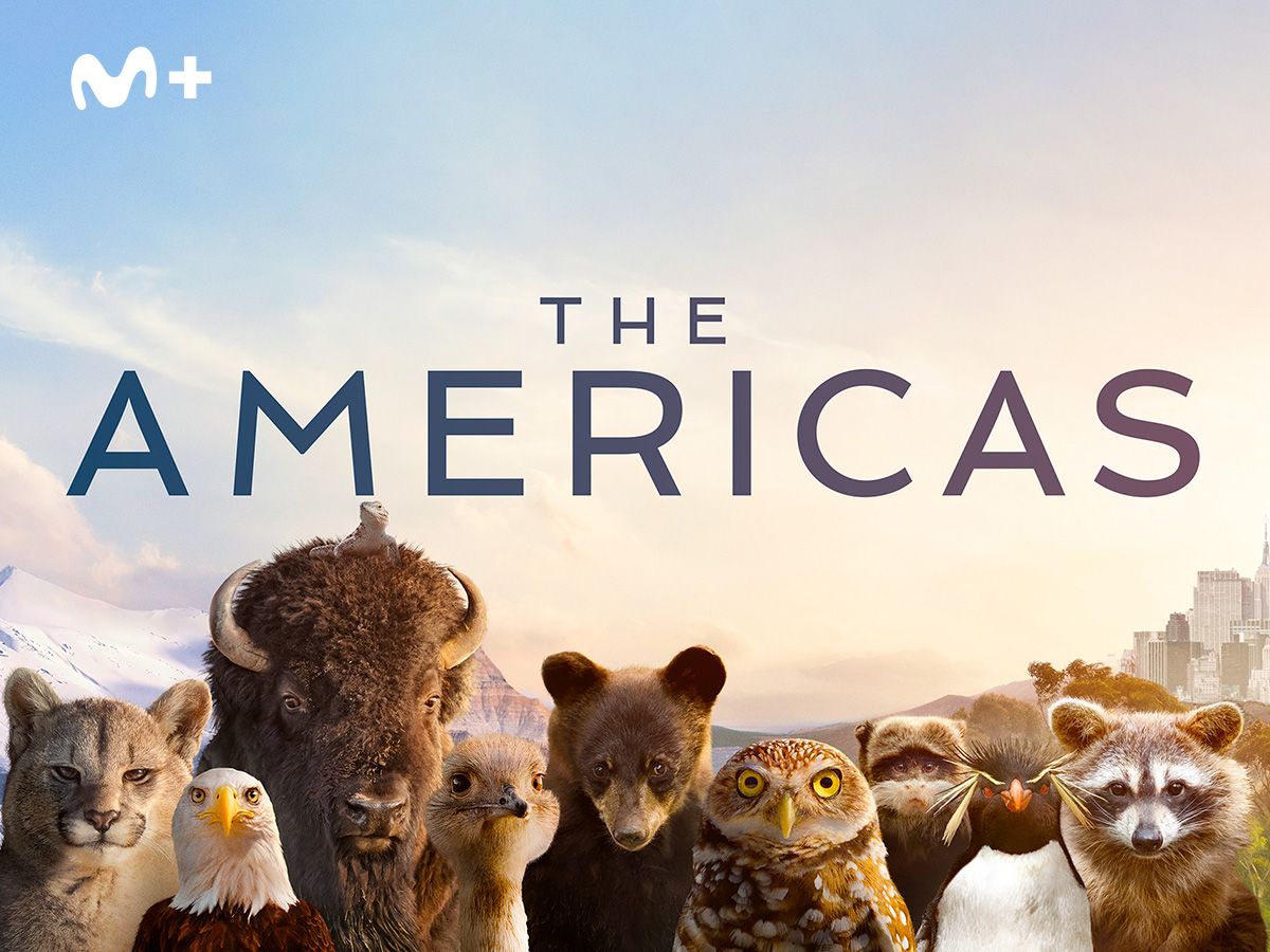 MOVISTAR+ THE AMERICAS MOVISTAR+ THE AMERICAS